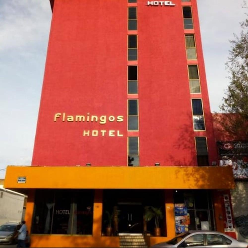 Hotel Flamingos กัวดาลาฮารา ภายนอก รูปภาพ